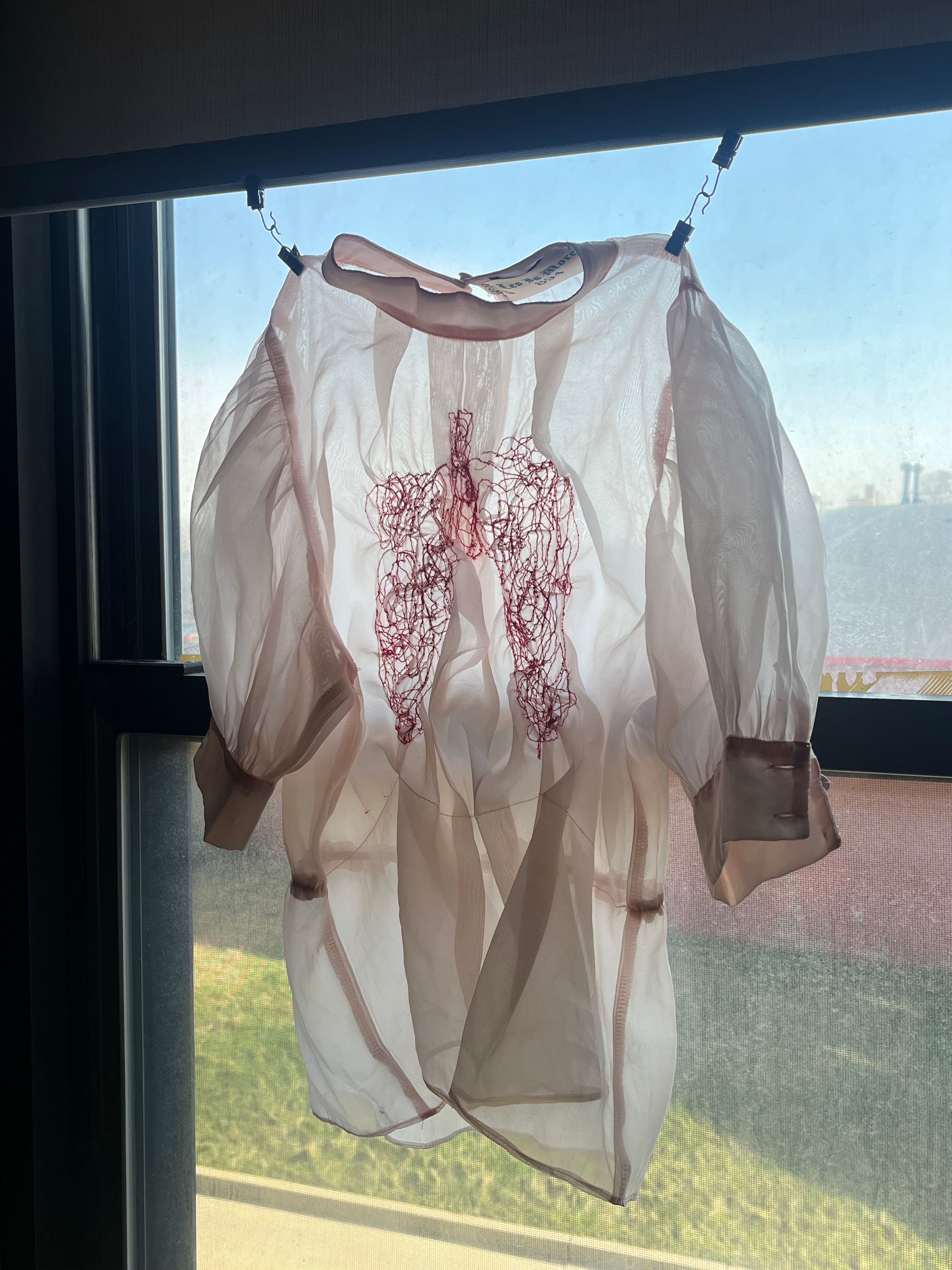 Sz S: See Through Pink Puff Sleeve Blouse with Red Lungs 