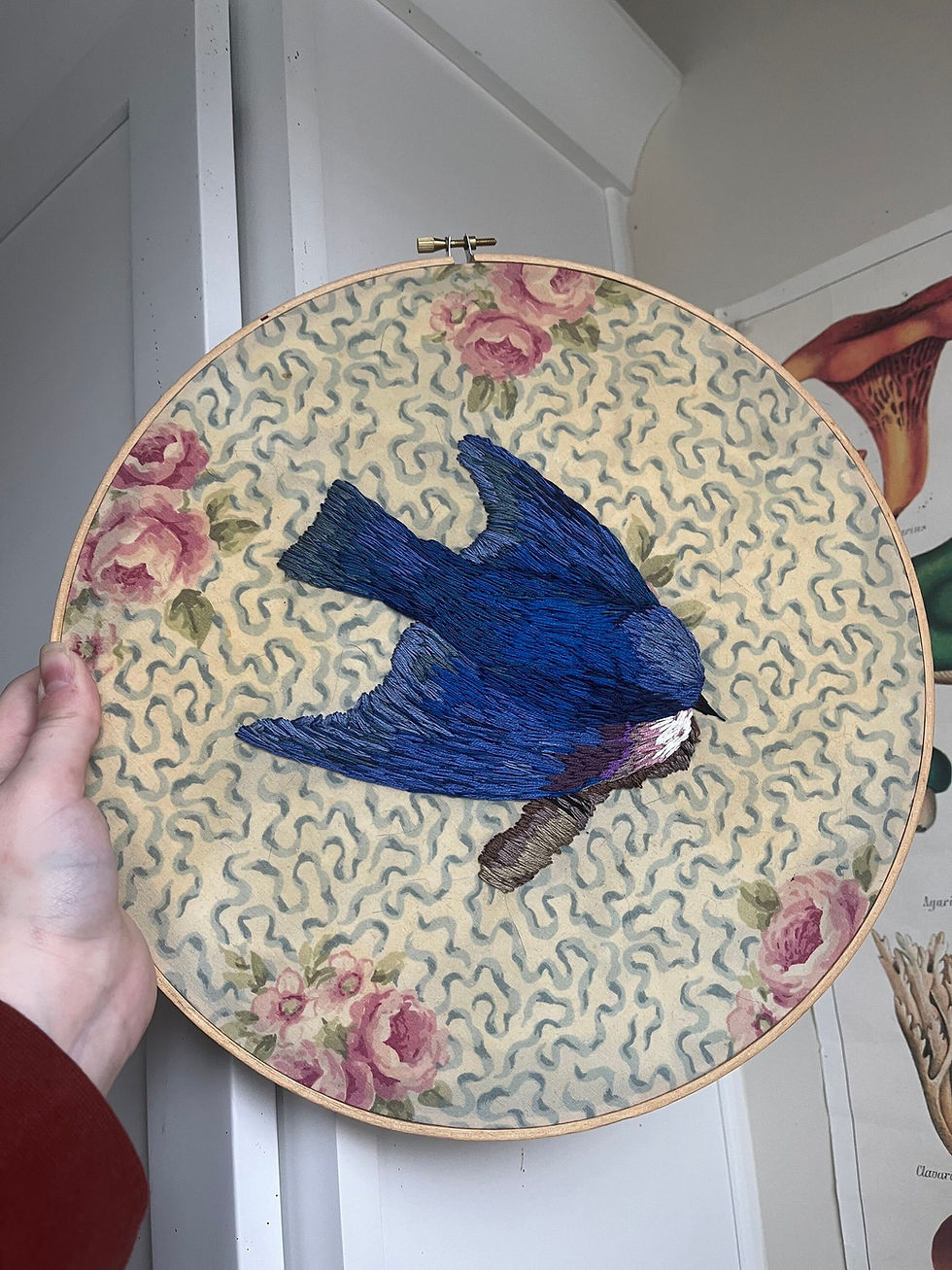 XL Bluebird Hoop