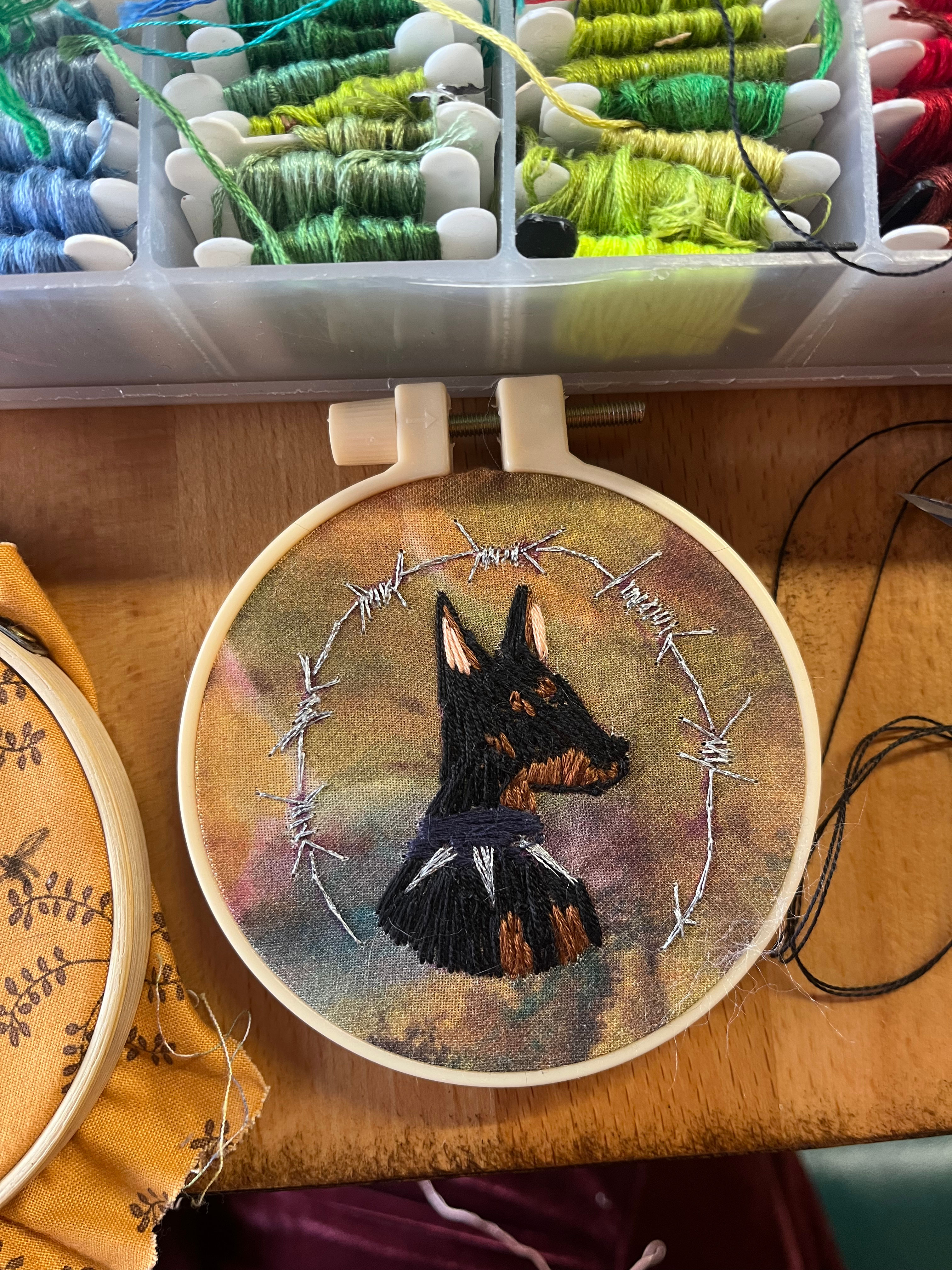 XS Hoop: Doberman and Barbed Wire