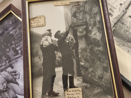 Polly the Parrot of Staithes: A Voice from the Village Past