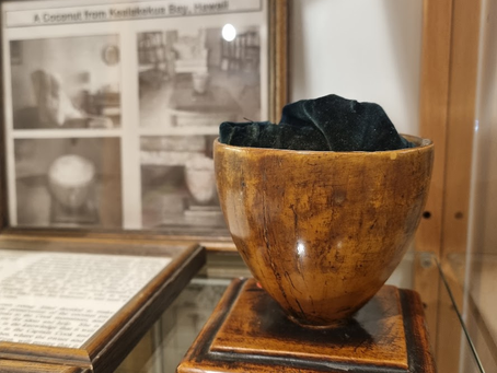 The Coconut That Came Home from Hawaiʻi