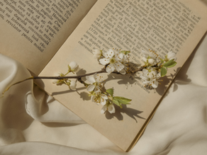 La poesia non va in vacanza: 5 classici da (ri)leggere quest'estate