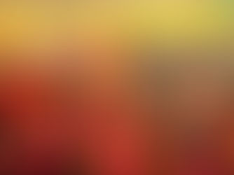 Holi of Barsana: A Festival Like No Other