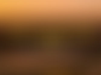 Tour Delhi Agra Jaipur – A Journey Through India's History