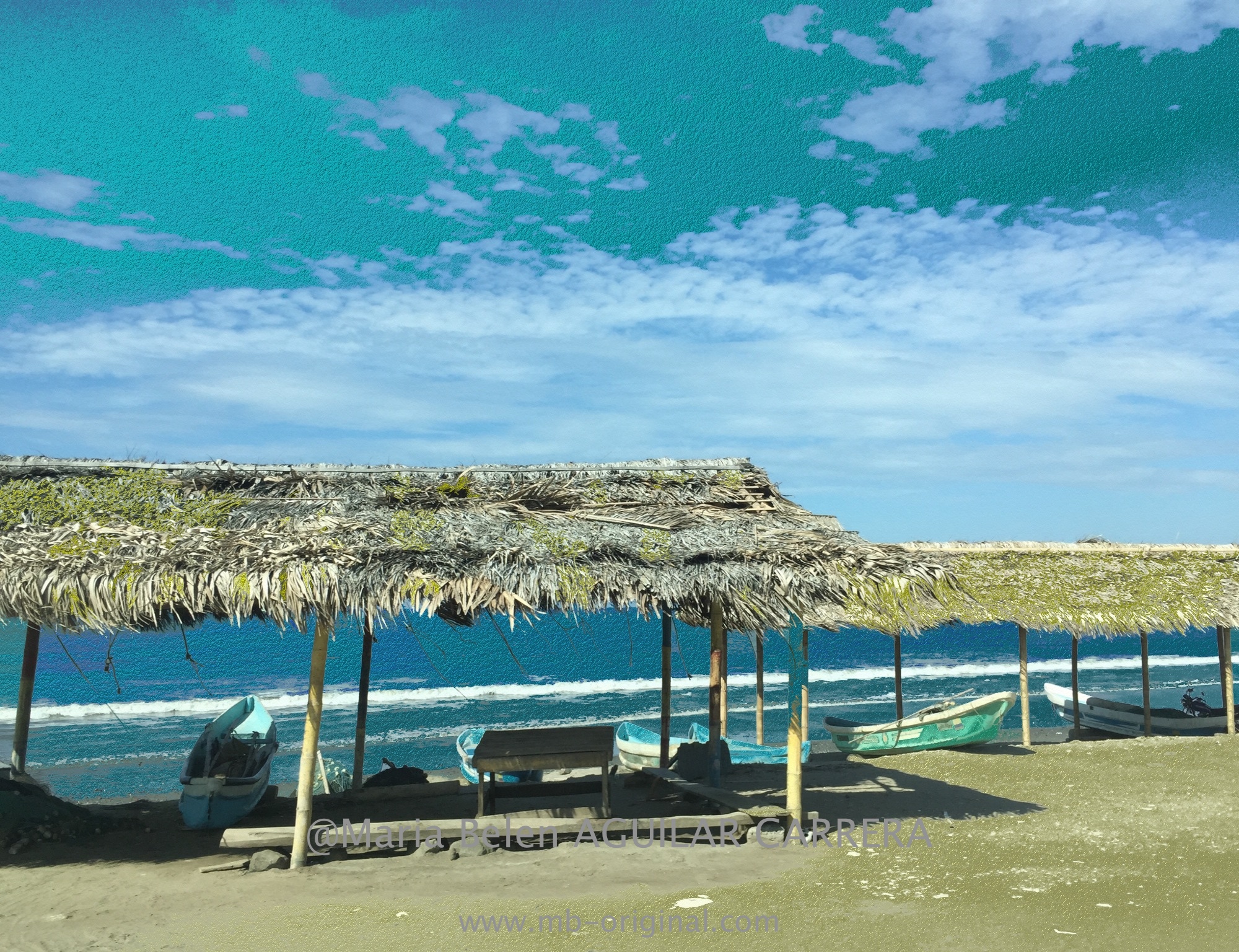 Beach Manta-art