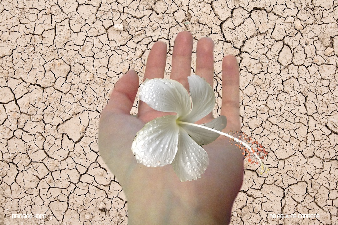 Bringing hope
