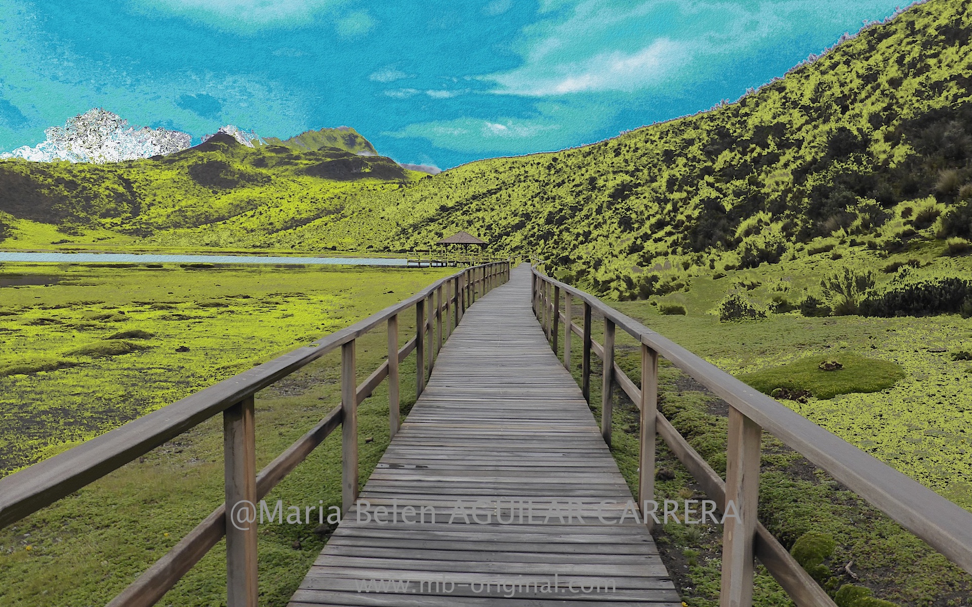 Bridge-art Cotopaxi National Park