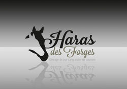 LOGO HARAS DES FORGES