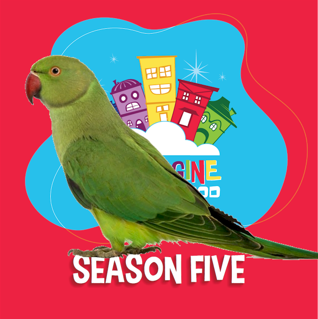 The Poll-a-Keet
