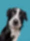 download (13).jpeg