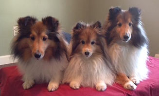 Jewel, Carly, Cruiser.jpg