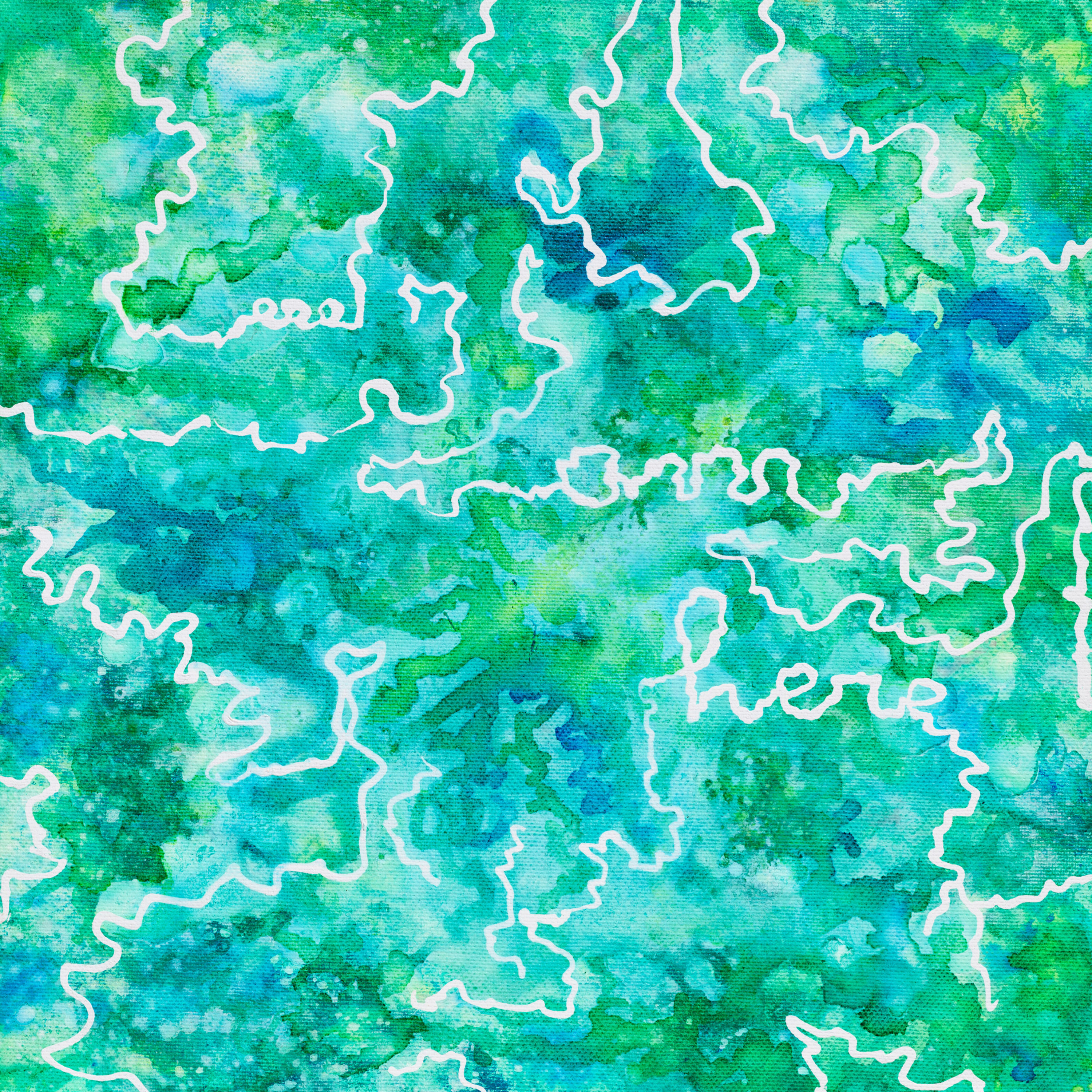 Colombia - Finca Andaluz - Washed Wush Wush - 250g