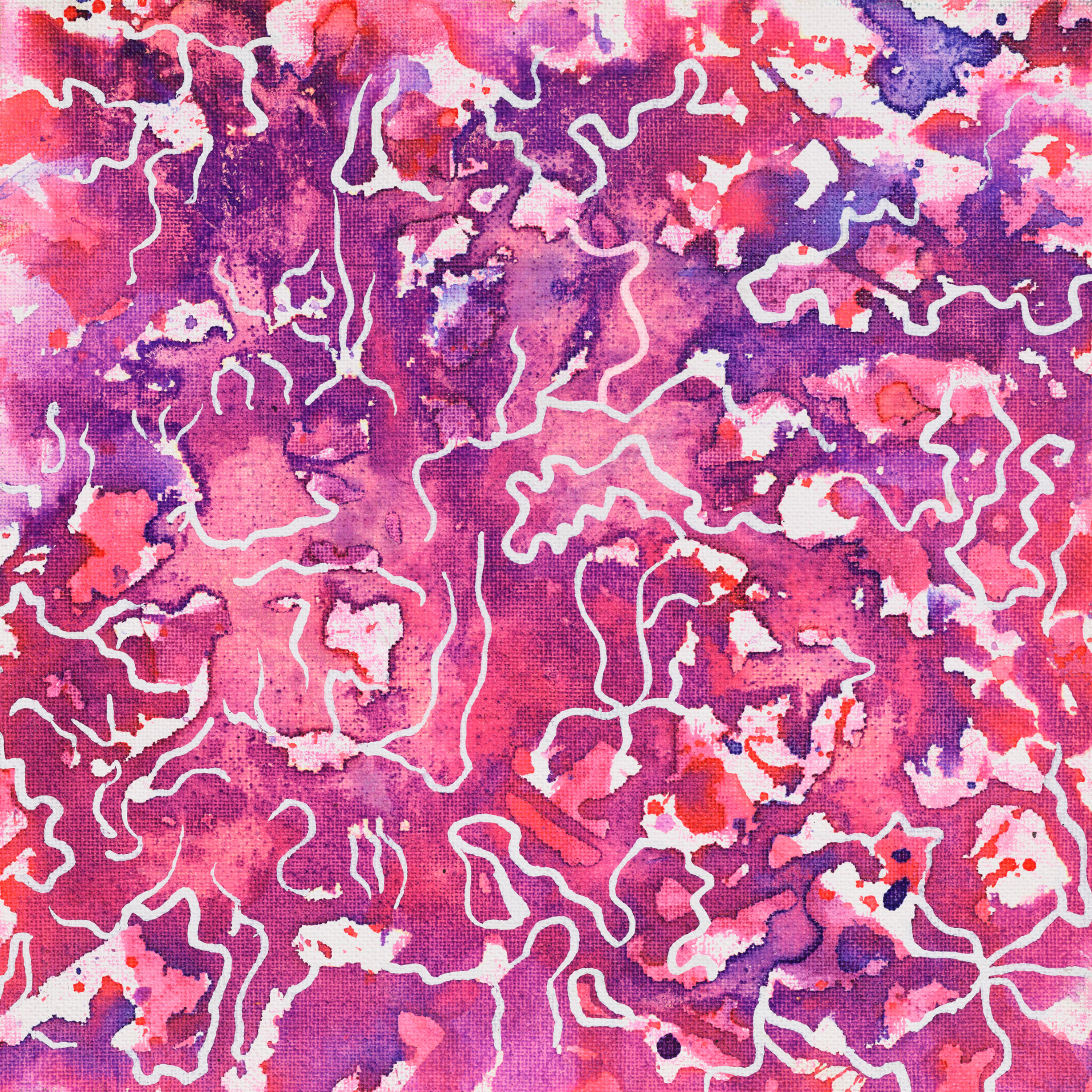 Colombia - La Esperanza - Honey Pink Bourbon - 250g