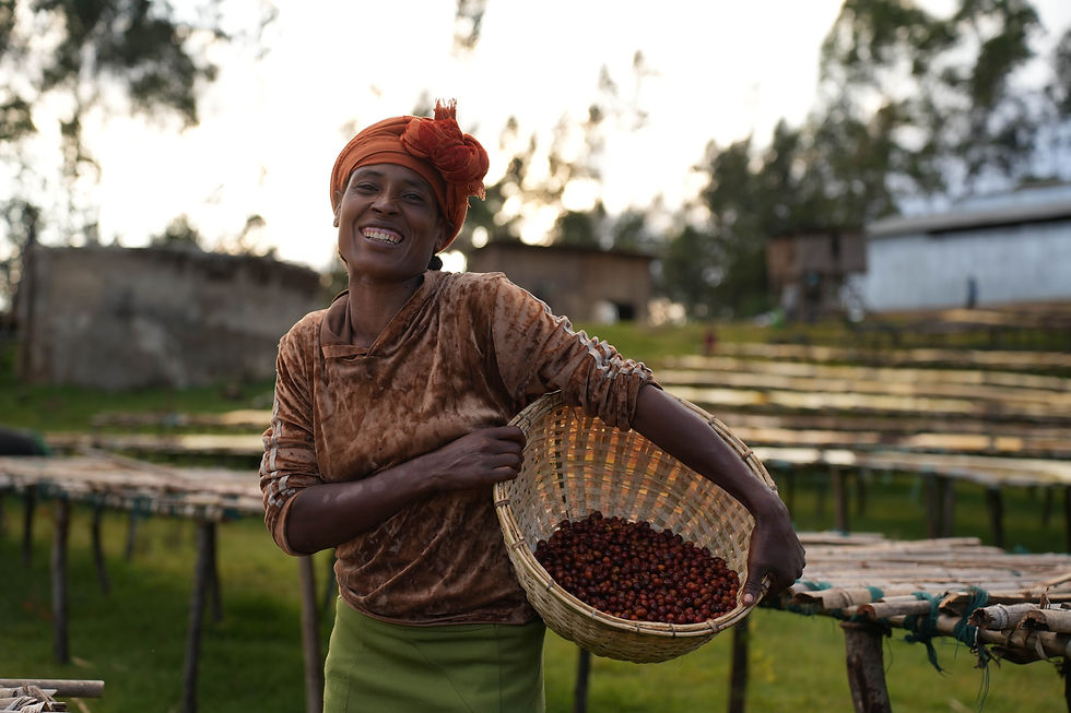 Thumbnail: Ethiopia Arbegona - Natural - 250g