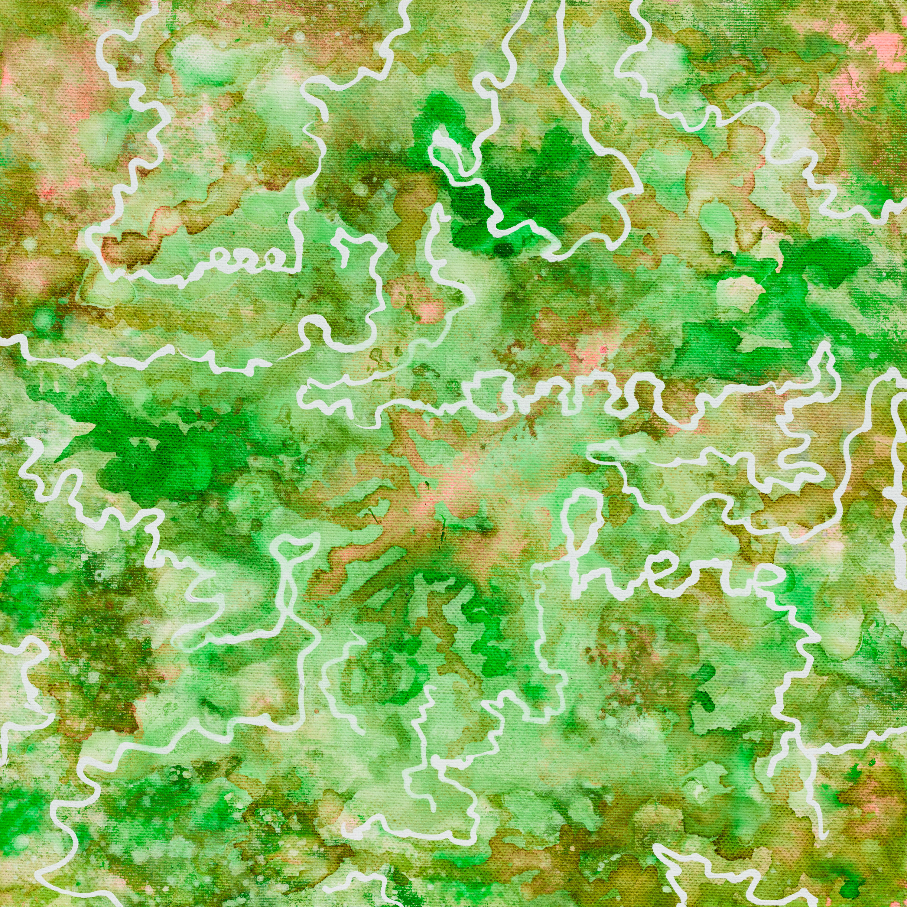 Colombia - La Dinastía - Washed Pink Bourbon - 250g