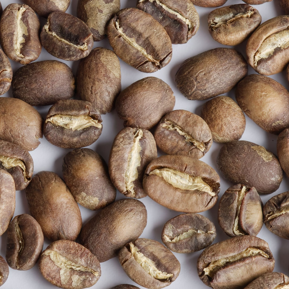 Miniature : Panama - Hacienda La Esmeralda - Trapiche 2 AFB washed Geisha