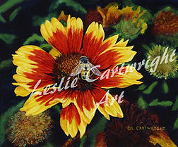 Gaillardia Guardian