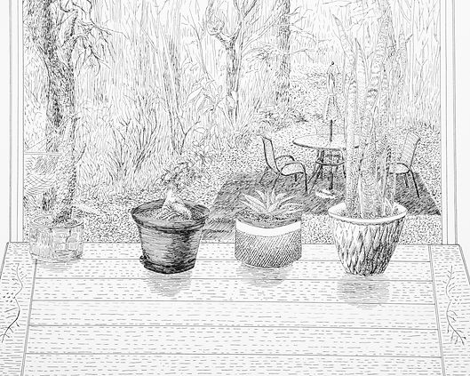 Sketch out the window