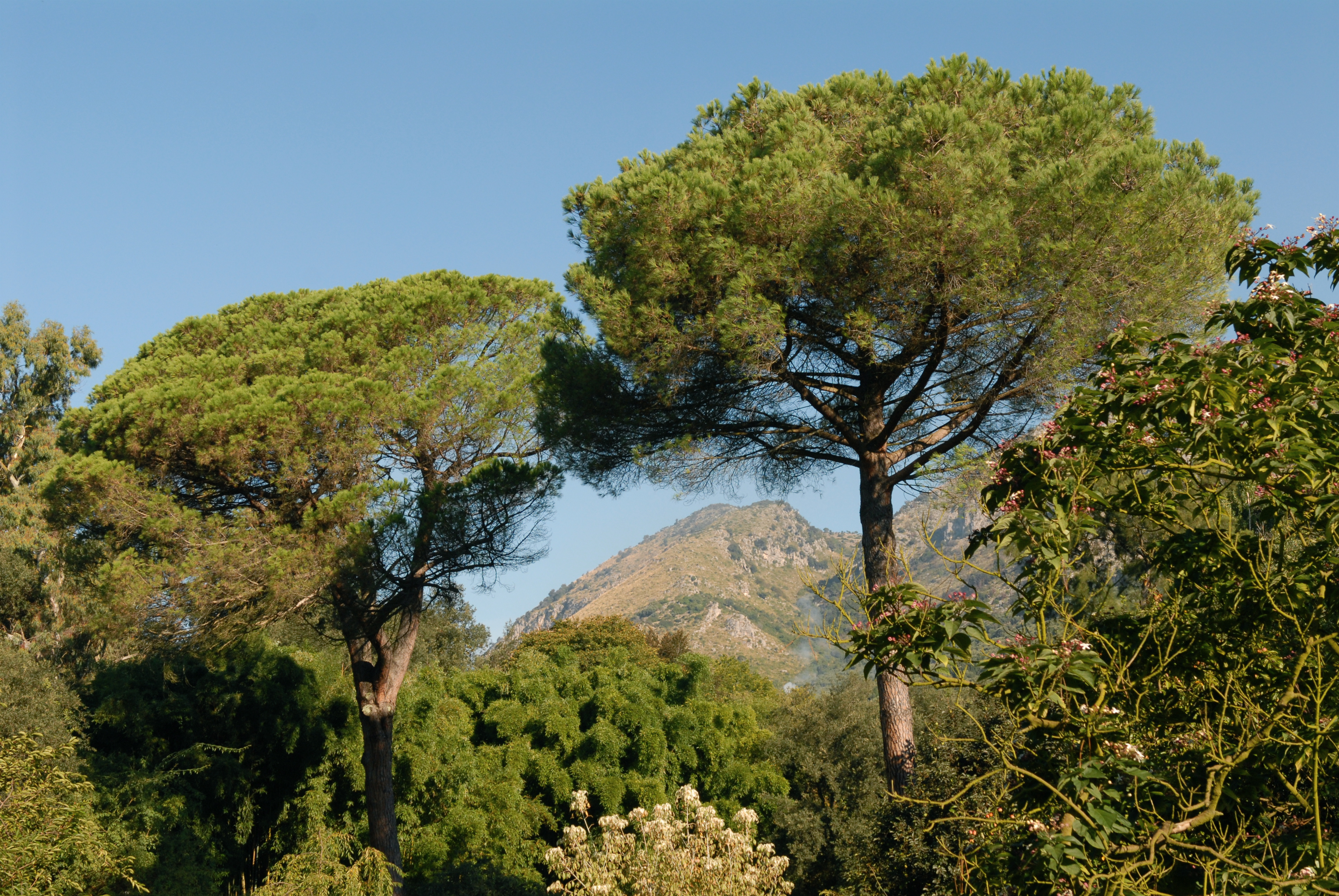 Ninfa Gardens, Italy