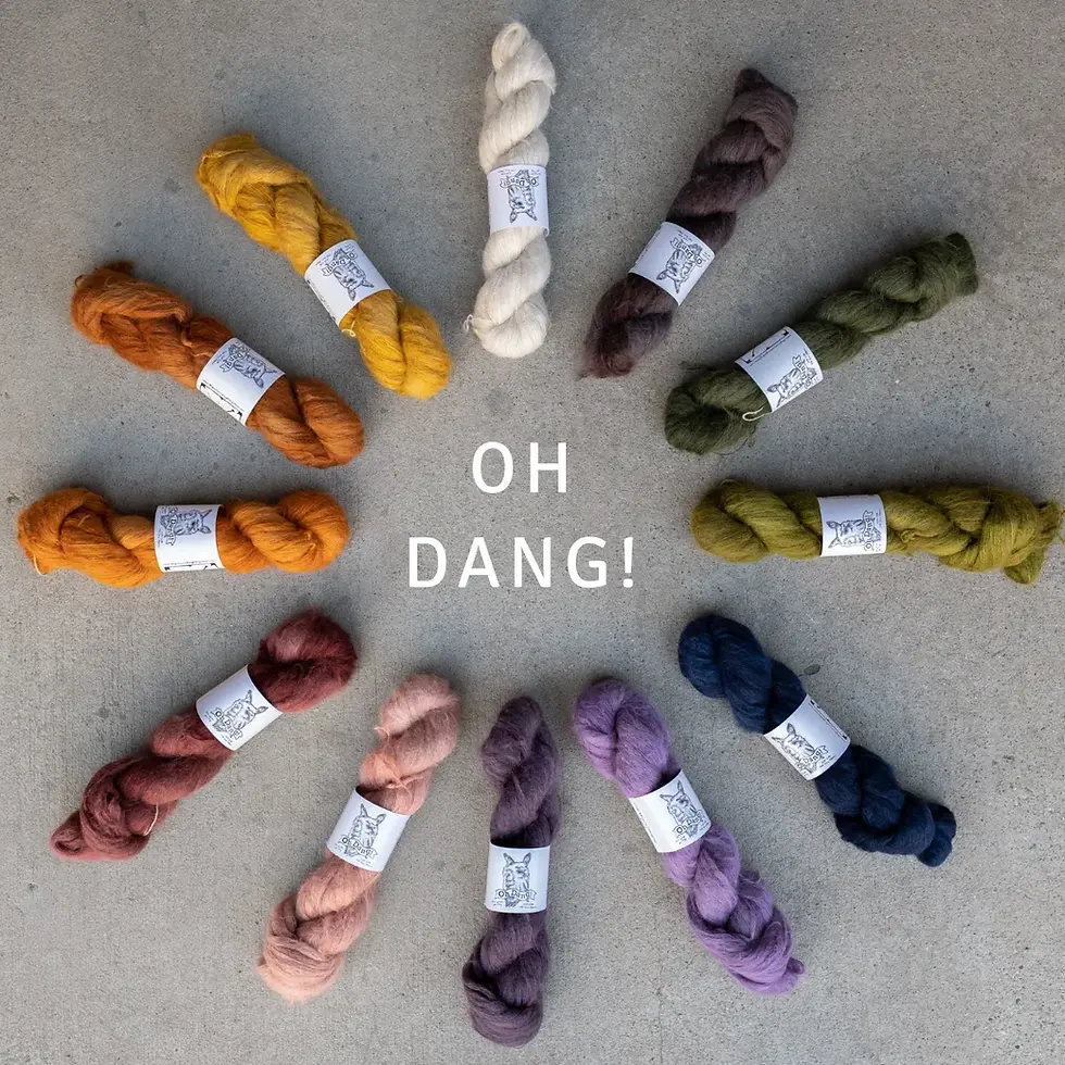 Thumbnail: Oh, Dang! DK