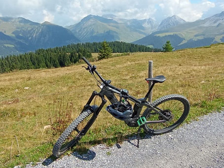 Software business lessons learned from bike-trailing apps !