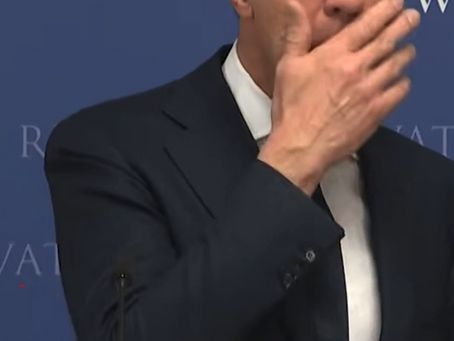 Demo of "Daddy", a Dutch Political Agentic AI Model, while hallucinating!