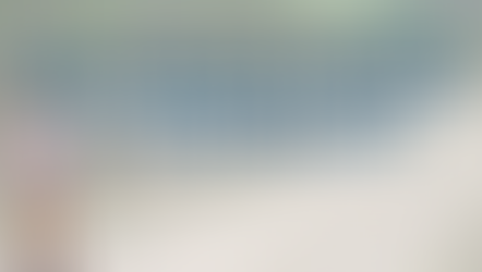 Why Balsa Wood is Expensive?