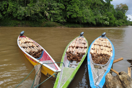 Imporating of Balsa Wood.