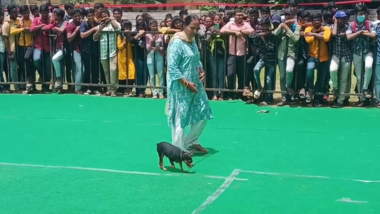 Dog Show during Drone Tech Expo & Summit-2023