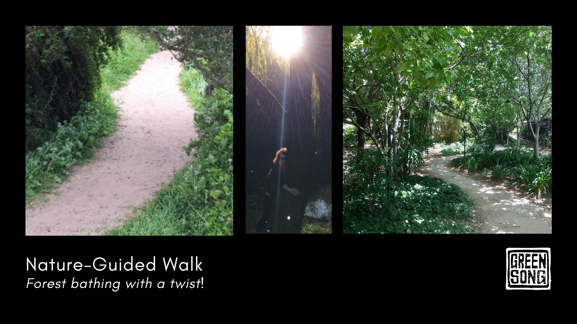 Nature guided walk