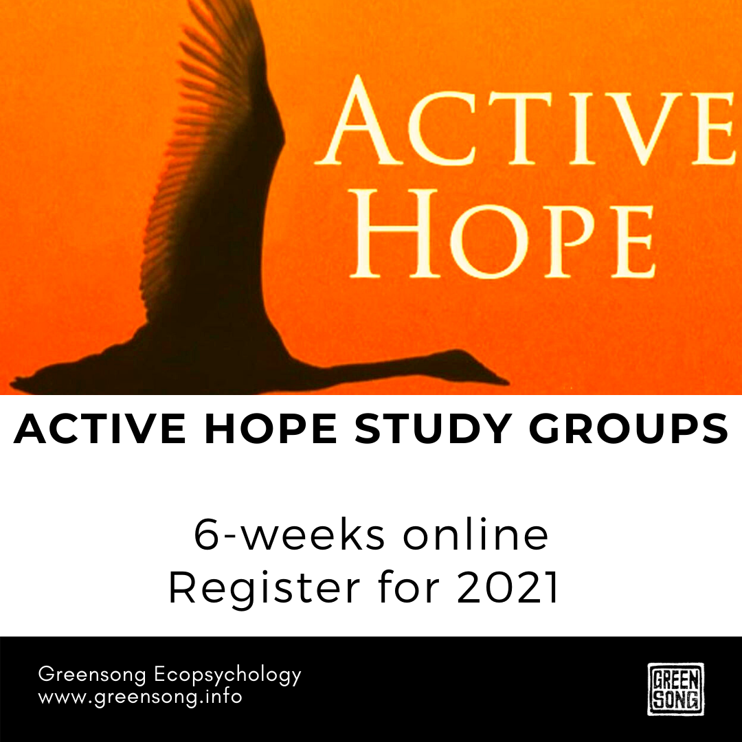 ACTIVE HOPE STUDY GROUPS
