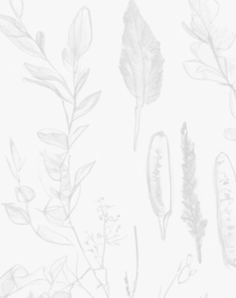 nature journaling_edited.jpg