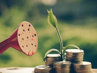 Tips and Tricks to Grow Your Startup Business: Insights from Industry Experts