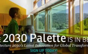 Beta Release 2030 Palette