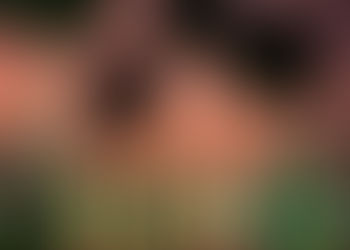 WIA: Downtown Orlando Walking Tour