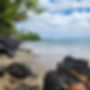 20221015_130446.jpg