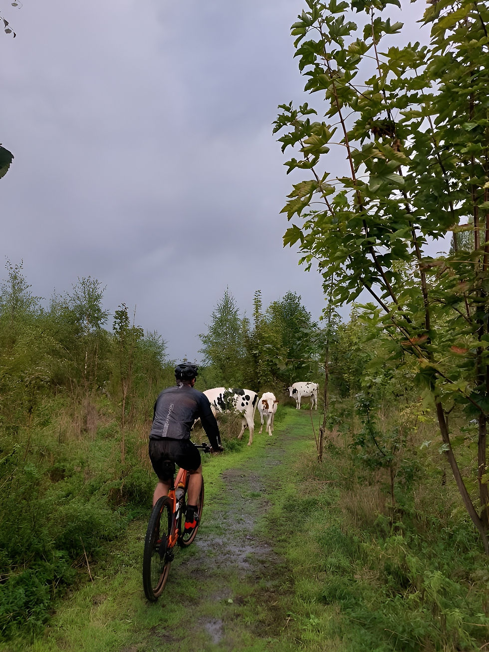 Tourist riding a bicycle along a scenic outdoor path in Musanze