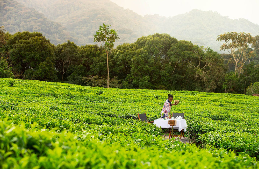 A private dining setup on a wooden deck overlooking tea fields at One&Only Nyungwe House in Rwanda