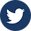 Blue Twitter Button