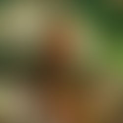 On the edge of Bleeding