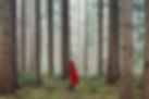 Walk'n'Talk Therapy