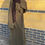 Thumbnail: Tall&Slim Azra -khaki