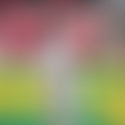 Blue Jays Interested in Two-Time All Star