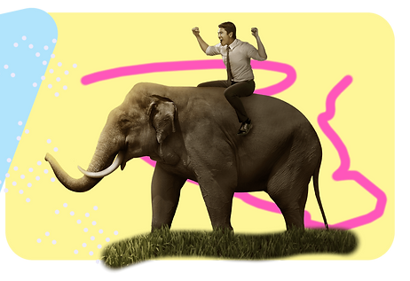 man riding elephant