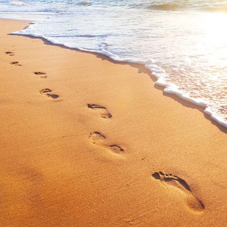 Day 11: Make Life More Fulfilling