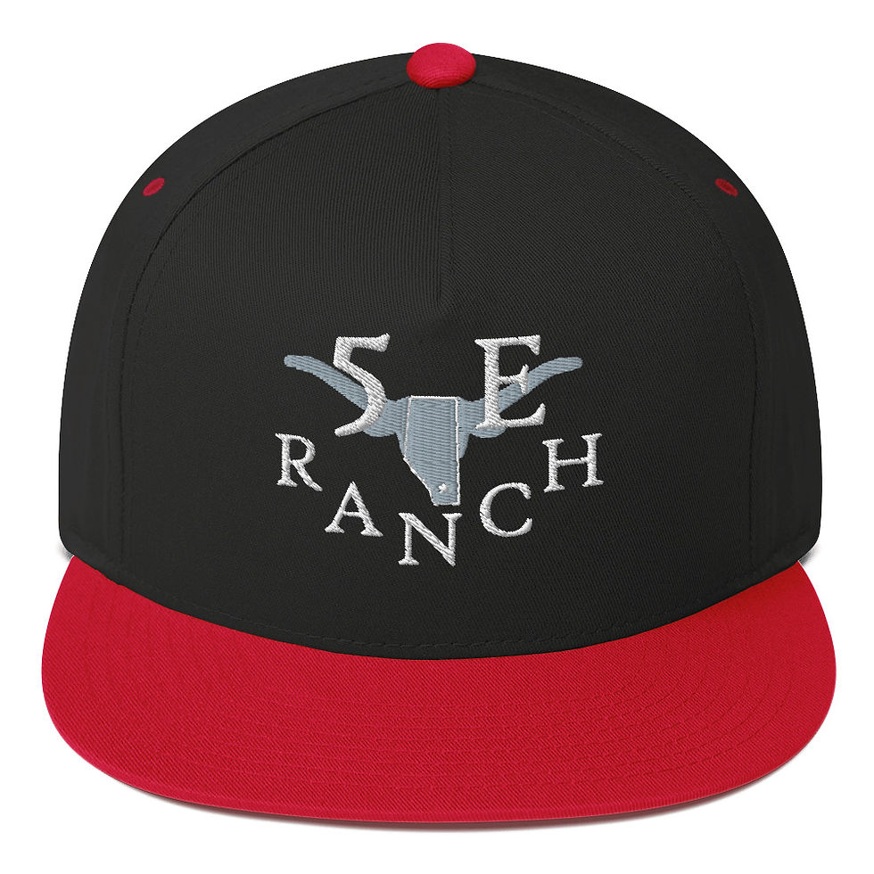 Thumbnail: Flat Bill Cap WS