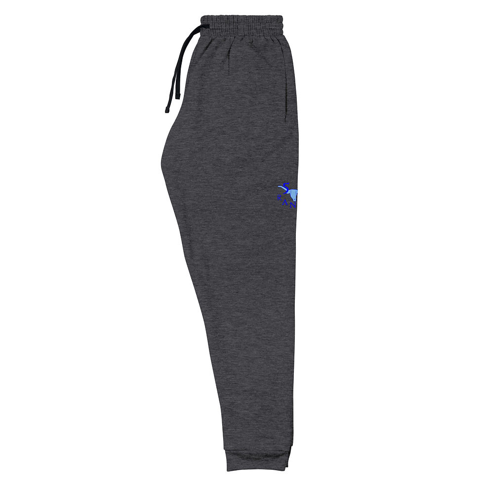 Thumbnail: Unisex Joggers BB