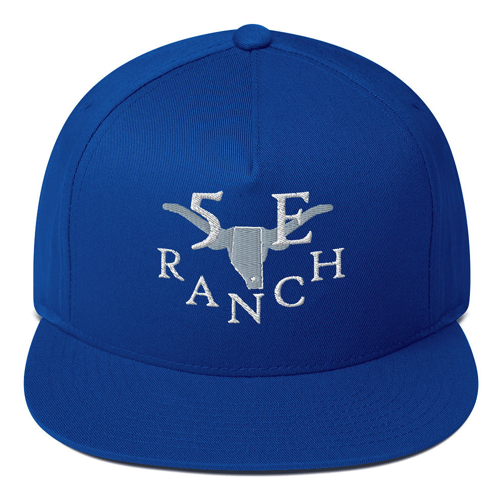 Thumbnail: Flat Bill Cap WS