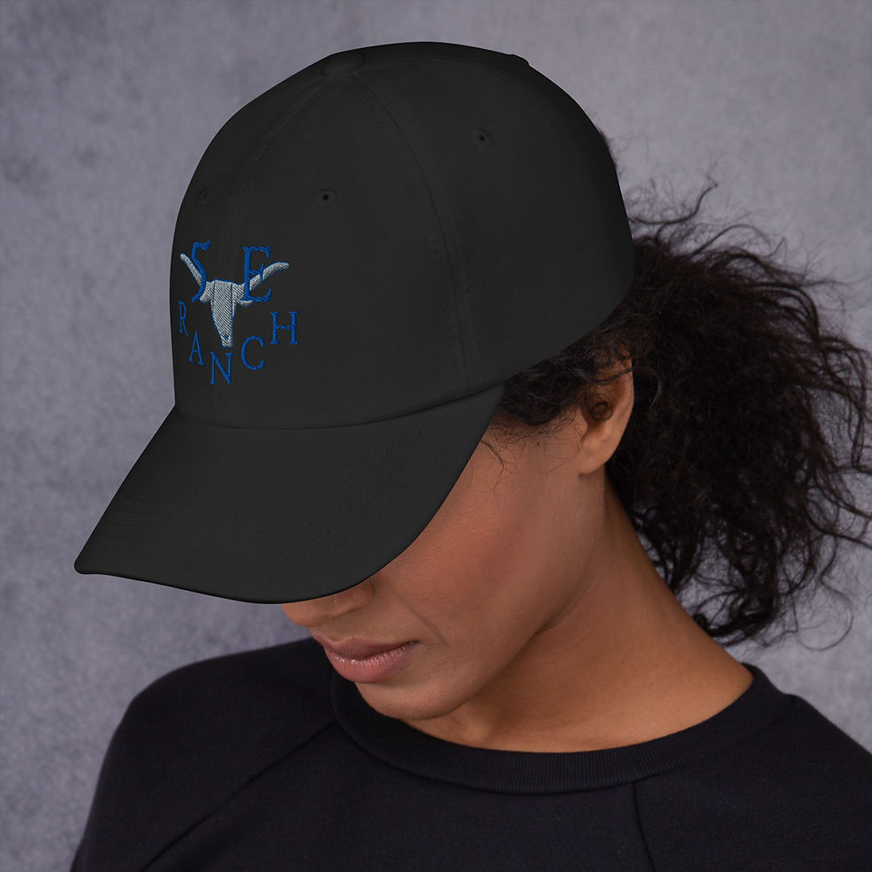 Thumbnail: Dad hat BB