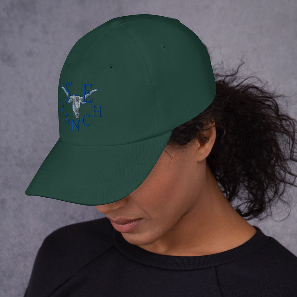 Thumbnail: Dad hat BB